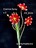 36" Cosmos Spray x 3  ( $3.60 )